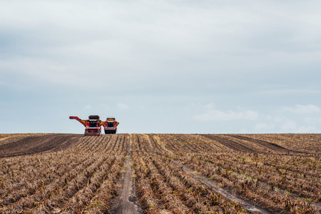 tractors working in the fieldの写真素材