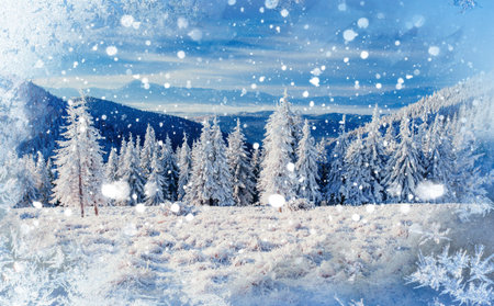magical winter snow covered tree, background with some soft high