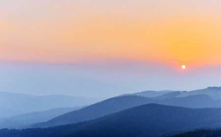 Thick fog and sunrise in the mountains. Carpathians. Ukraine.