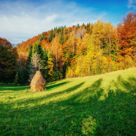 Autumn landscape in the mountains with colorful forest haycockの写真素材