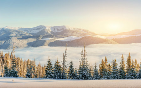 fog in winter mountains. Fantastic sunset. Carpathians Ukraine Europe