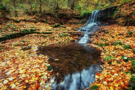 beautiful waterfall in forest autumn landscape. Beauty worldの写真素材