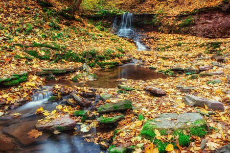 beautiful waterfall in forest, autumn landscape.の写真素材