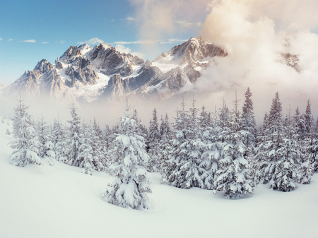 Mysterious landscape majestic mountains in winter.