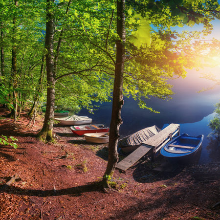 Boats are in the woods near the water.の写真素材