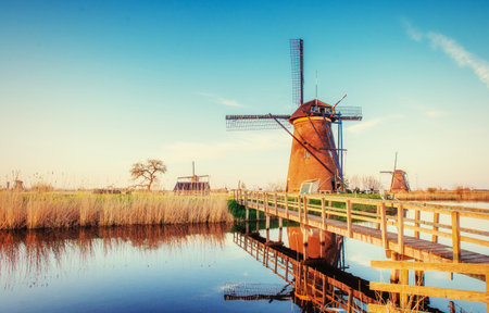 Colorful spring day with traditional Dutch windmills canal in Roの写真素材