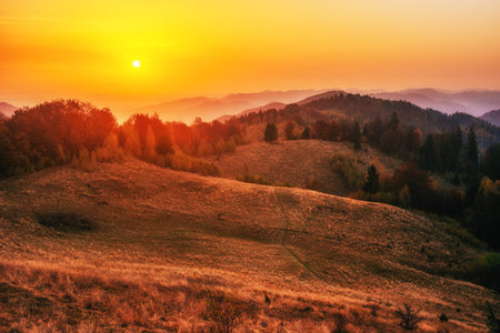 Fantastic sunny hills glowing by sunlight. Carpathian, Ukraine,の写真素材