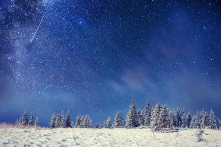 Dairy Star Trek in the winter woods