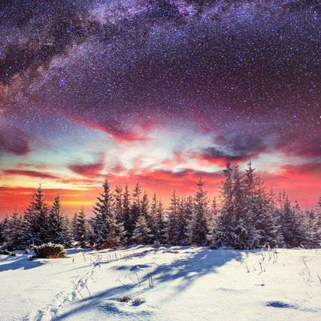 starry sky in winter snowy night. fantastic milky wayの写真素材