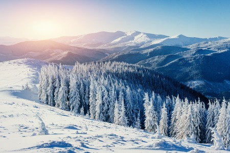 Fantastic winter landscape in the mountains of Ukraineの写真素材