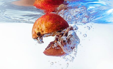 Garnet in the water on a white backgroundの写真素材