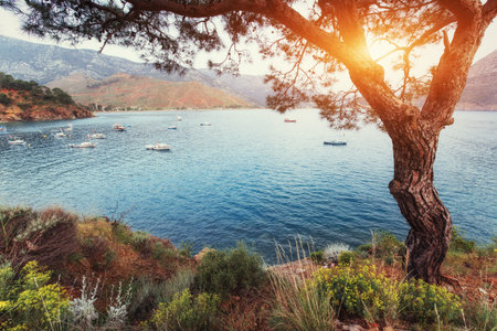 The picturesque sunset. View of the boats at sea. Turkeyの写真素材