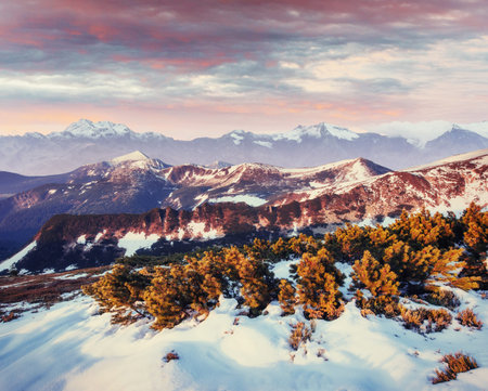 Mysterious winter landscape majestic mountains in winter. Magical winter snow covered tree. Europeの写真素材
