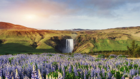 Great waterfall Skogafoss in south of Iceland near the town of Skogarの写真素材