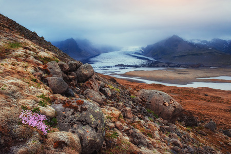 The picturesque landscapes of mountains Icelandの写真素材