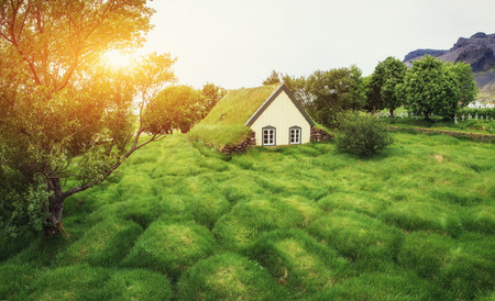 small wooden church and cemetery Hofskirkja Hof, Skaftafellの写真素材
