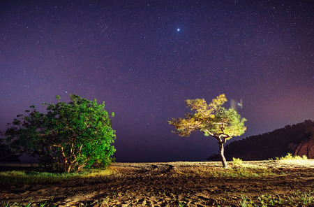 fantastic winter meteor rain and mountains in the mistの写真素材