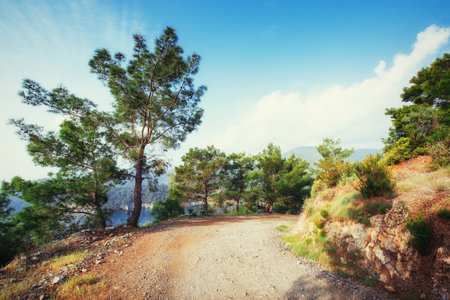 Panoramic view on sea coast. Beauty world. Turkeyの写真素材