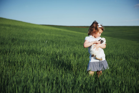 baby rabbit in a field of green wheatの写真素材
