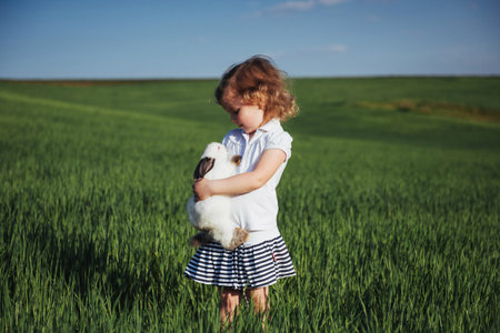 baby rabbit in a field of green wheatの写真素材