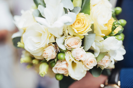 wedding bouquet in hands of the groomの写真素材