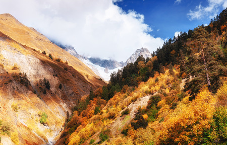 Thick fog on the mountain pass Goulet. Georgia, Svaneti. Europe.の写真素材
