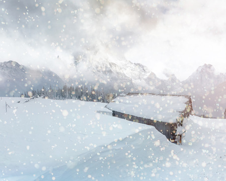 winter landscape trees and fence in hoarfrost, background with sの写真素材