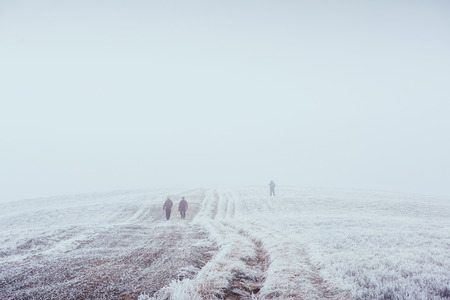 October mountain range in the first winter days.の写真素材