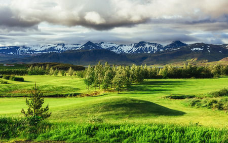 The picturesque landscapes of forests and mountains  Icelandの写真素材