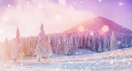Mysterious winter landscape majestic mountainsの写真素材