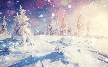 Mysterious winter landscape majestic mountains