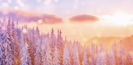 Mysterious winter landscape majestic mountainsの写真素材