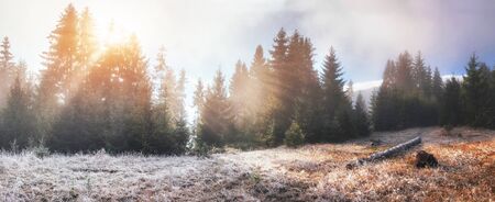 Fantastic sunlight in the morning.  fog in the mountainの写真素材