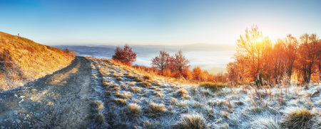 Sunlight in the green forest early morning. Beautiful autumn roaの写真素材