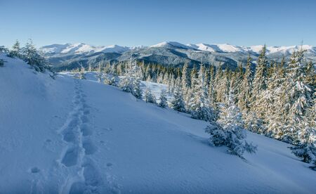 Fantastic winter landscape, steps, something leading into the moの写真素材