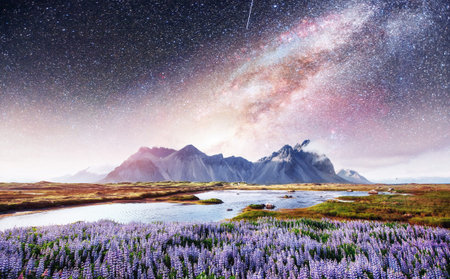 The picturesque landscapes of forests and mountains  Iceland.