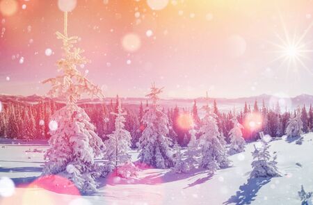 magical winter landscape, background with some soft highlights aの写真素材