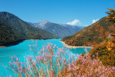 Autumn landscape and snowy mountain peaks. Birch forest in sunlight. Main Caucasian Ridge. Mountain View from Mount Ushba Mheyer, Georgia. Europeの写真素材