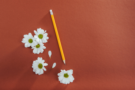 white flowers and pencil on a brown background.の写真素材