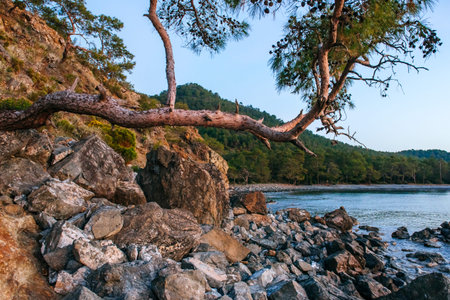 blue sea wave of mediterranean sea on turkish coast in the eveningの写真素材