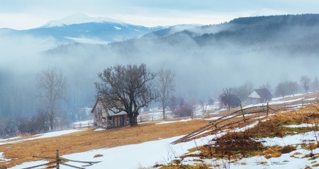 the last days of winter in the mountains of Ukraine, thick fog. Carpathians.の写真素材