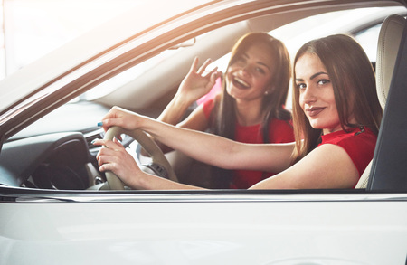 Enjoying travel. Beautiful young girl twins sitting on the front passenger seats and smiling while posing on camera.の写真素材