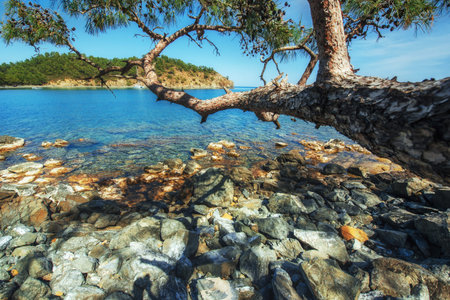 Panoramic view on sea coast. Beauty world