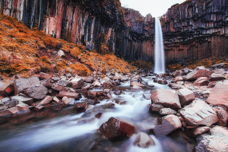 Great view of Svartifoss waterfall. Dramatic and picturesque scene. Popular tourist attraction. Iceland, Europeの写真素材