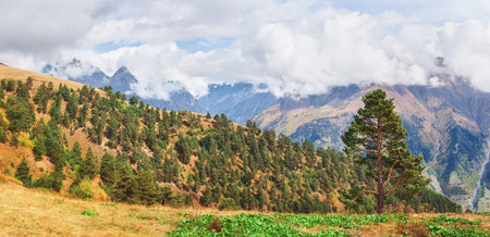 Fantastic golden autumn landscape between the rocky mountains in Georgia. Malvnychi snow-capped...