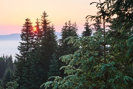 Sunset in the mountains landscape. Dramatic sky. Carpathian of Ukraine Europe.の写真素材