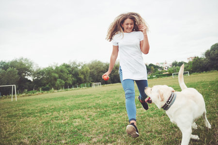 Attractive young woman with labrador outdoors. Woman on a green grass with dog labrador retriever.