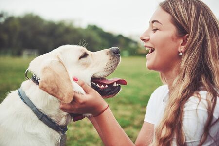 Frame with a beautiful girl with a beautiful dog in a park on green grassの写真素材