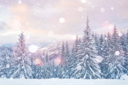 Mysterious landscape majestic mountains in winter. Magical snow covered tree. Photo greeting card....