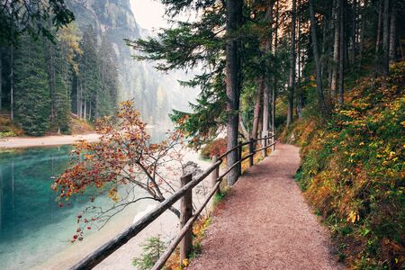 Path with wooden fence in the mountain woods near the river.の写真素材